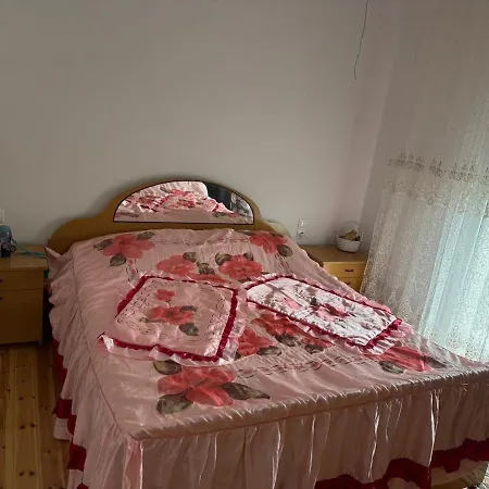 Appartement Traditional Stone House With A View Of The River And The Mountain Tepelene